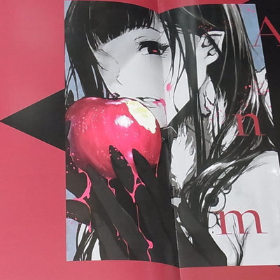 Pochi Iida Ane Naru Mono Poster Book 