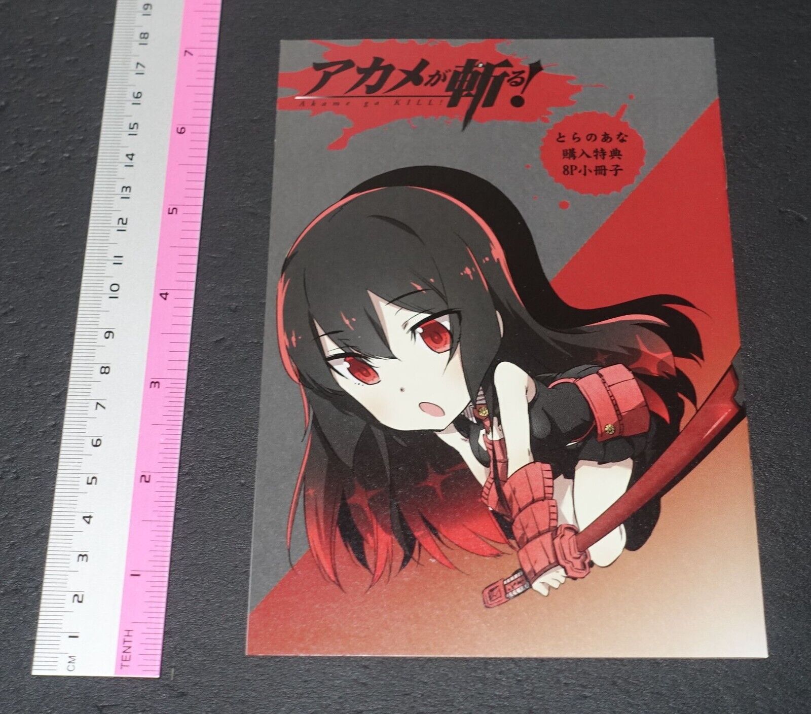 Tetsuya Tashiro Akame ga Kill! Rought Illustration Art Mini Booklet C 8page 