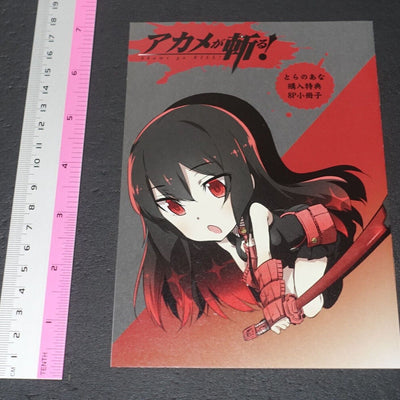 Tetsuya Tashiro Akame ga Kill! Rought Illustration Art Mini Booklet C 8page 