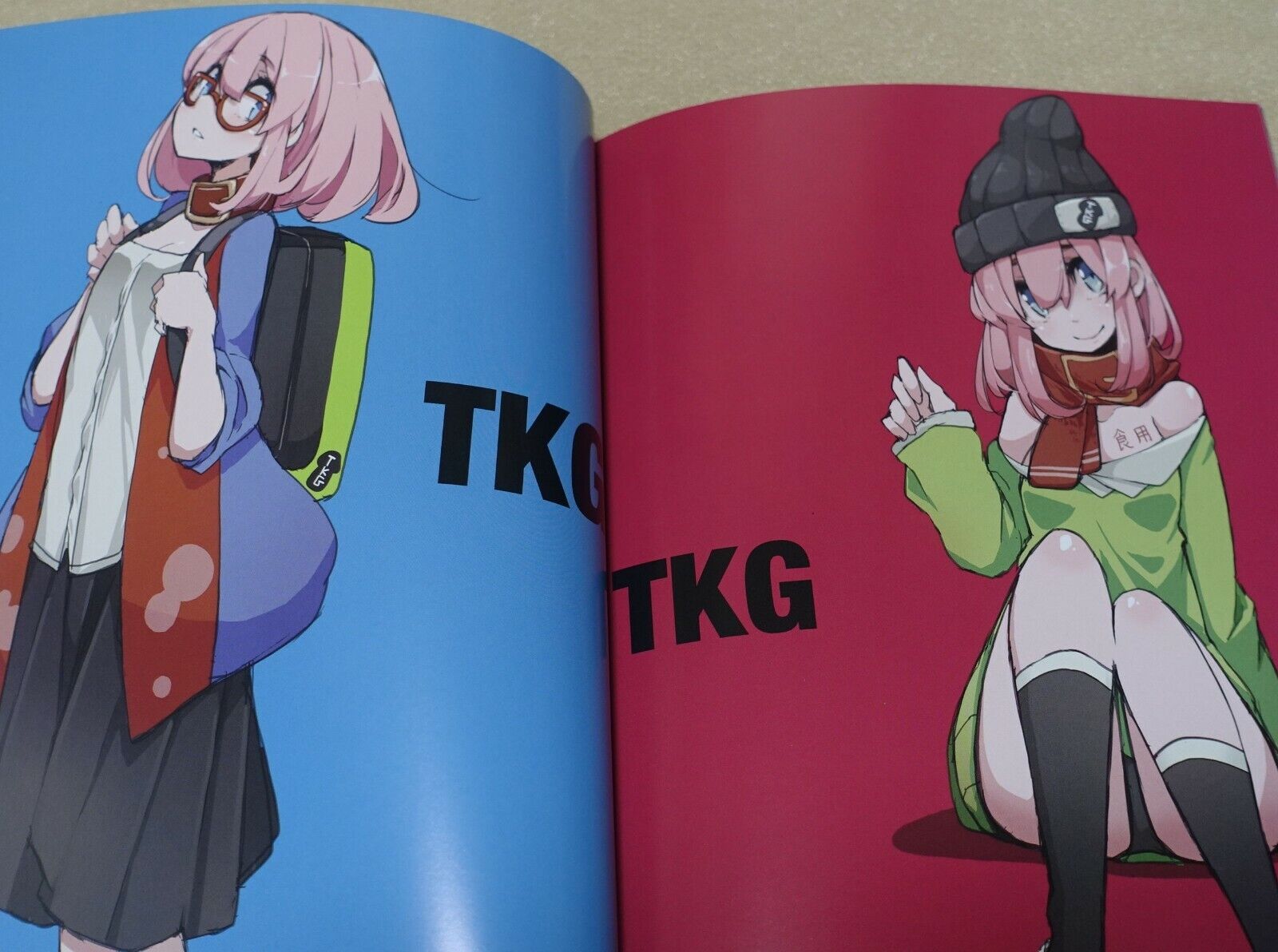 Kabe no Saido Original Color Art Book TKG 