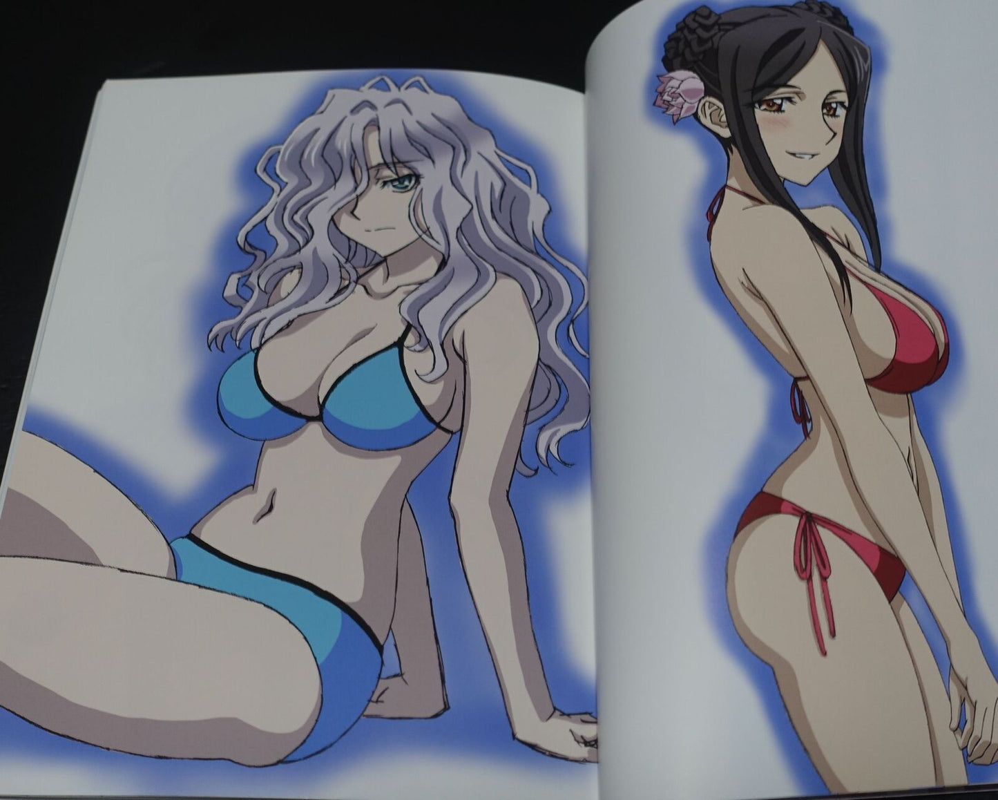 Harasyu Muv-Luv Schwarzesmarken Animation Staff's Art Book Zwei 