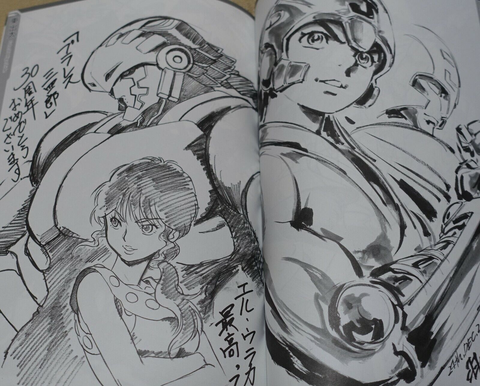 Plawres Sanshiro 30th Anniversary Official Fan Art Book 