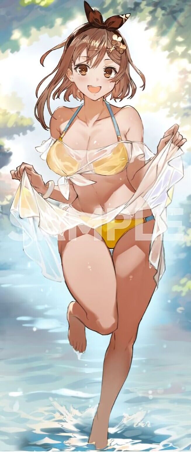 Atelier Ryza 3 Reisalin Ryza Stout 51 x 118 cm Big Size Tapestry Wall Scroll 