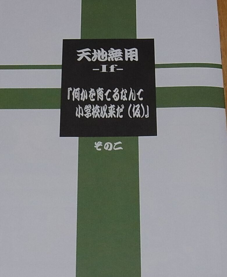 Tenchi Muyo Official Color Doujinshi Tenichi Muyo IF sono 2 C89 