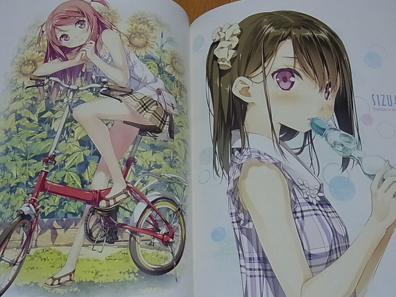 Kantoku Illustration Book Check in Summer 