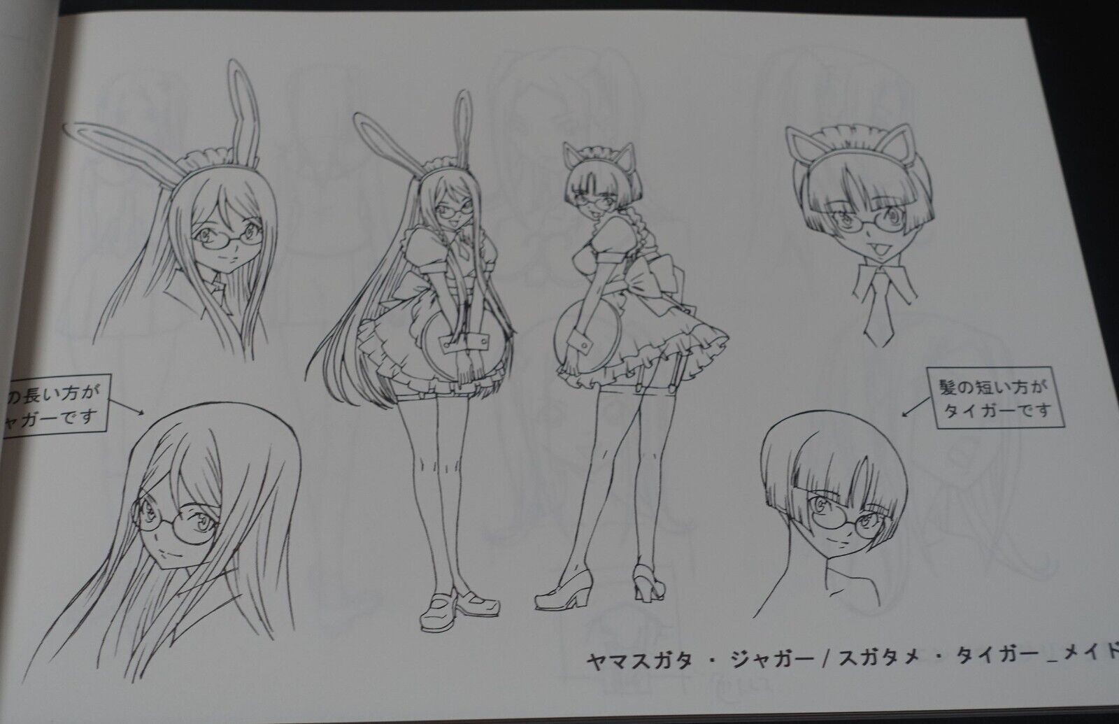 Animation Star Driver The Movie Setting Art Work Book 