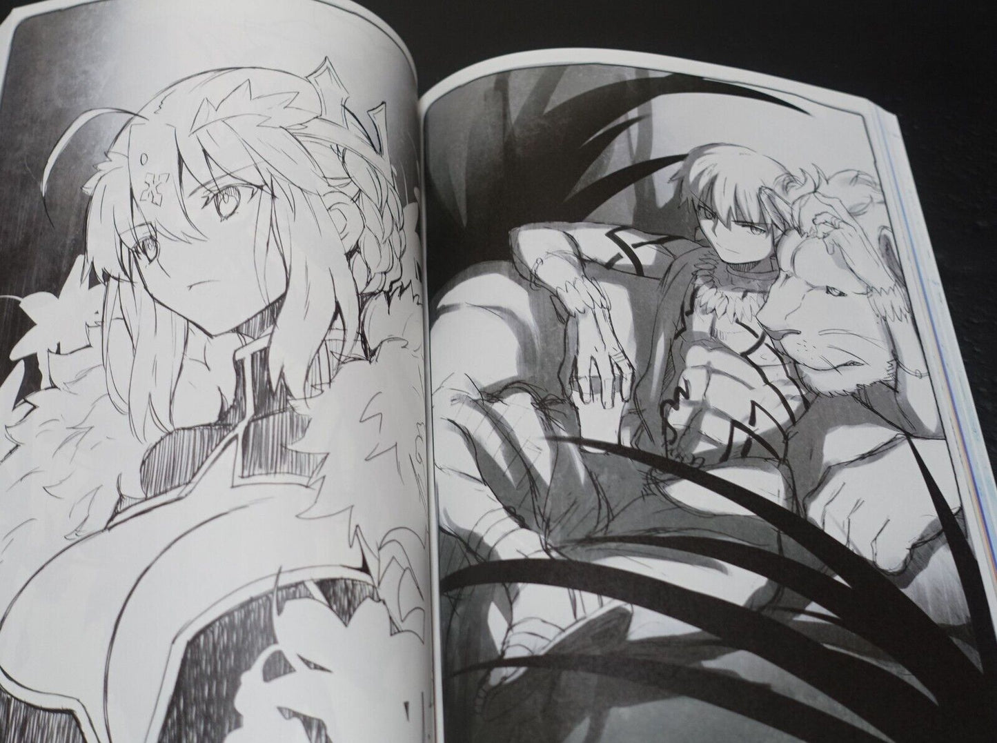 Takehouki TYPE-MOON Works Setting Collection Book Katatsuki Kouhon 