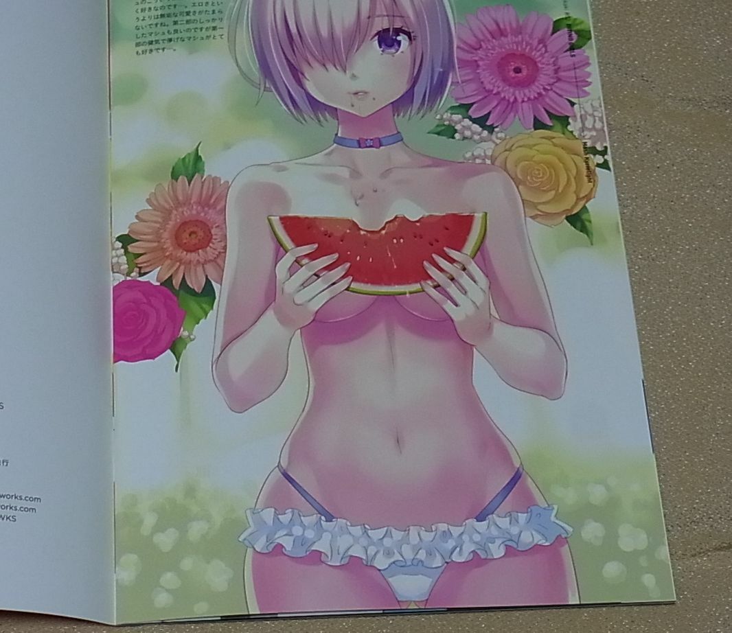 ERIMO Fate FGO Color Fan Art Book BITING GIRLS Fate Grand Order 