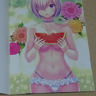 ERIMO Fate FGO Color Fan Art Book BITING GIRLS Fate Grand Order 