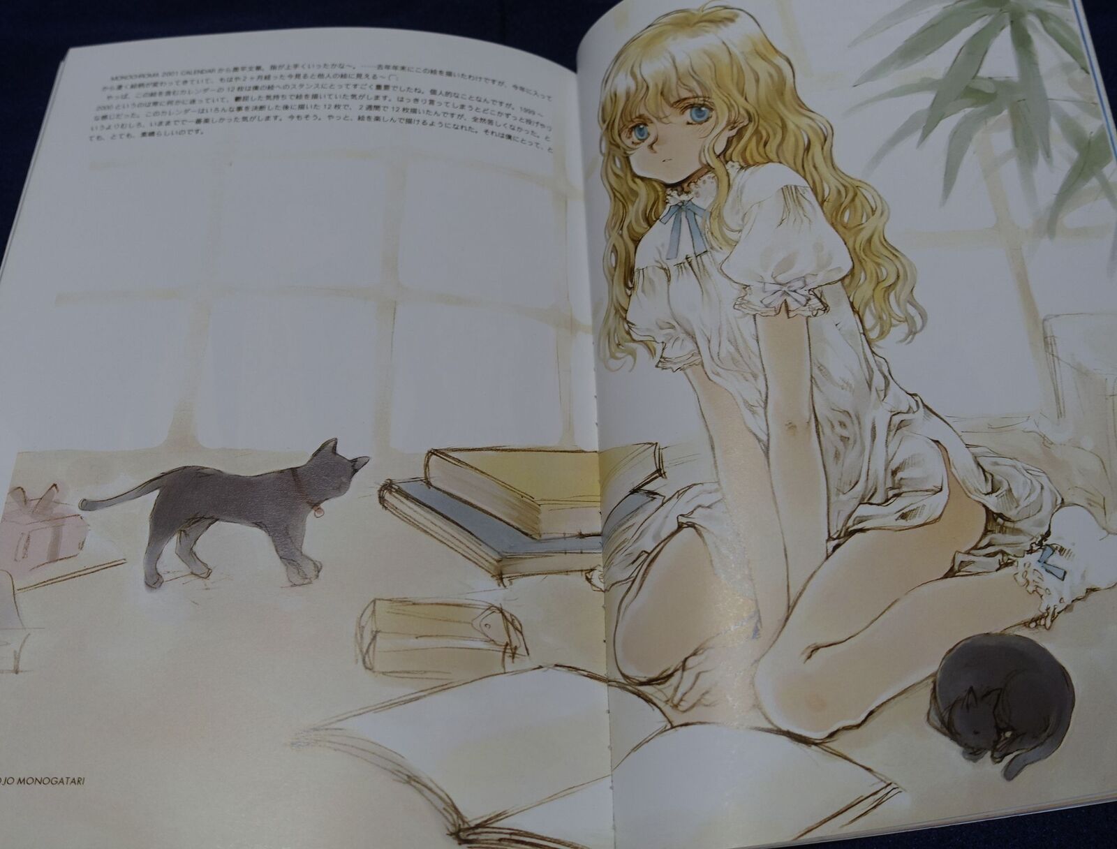Oyari Ashito Color Illustrations Collection Art Book C-COLLECTION 