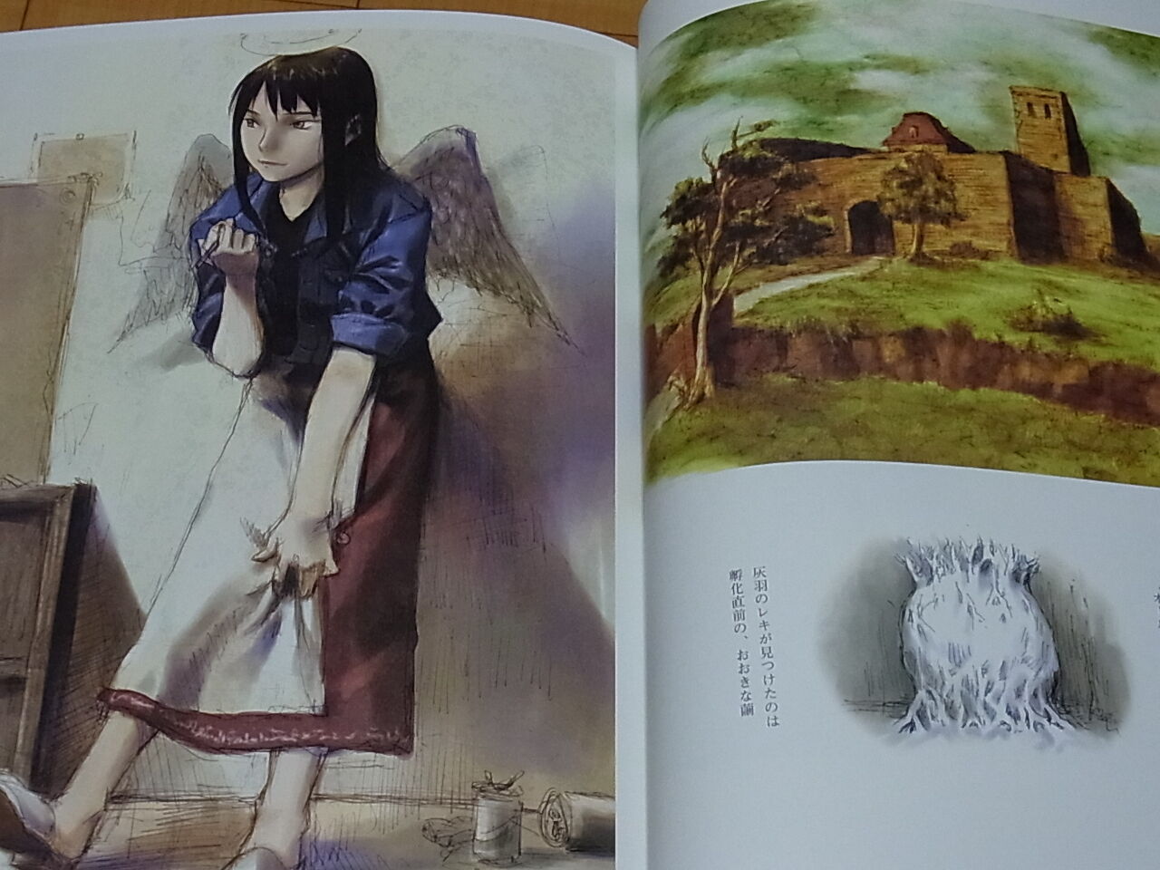 Yoshitoshi Abe Haibane-Renmei Art collection Guri no Machi Haibane no niwa de 