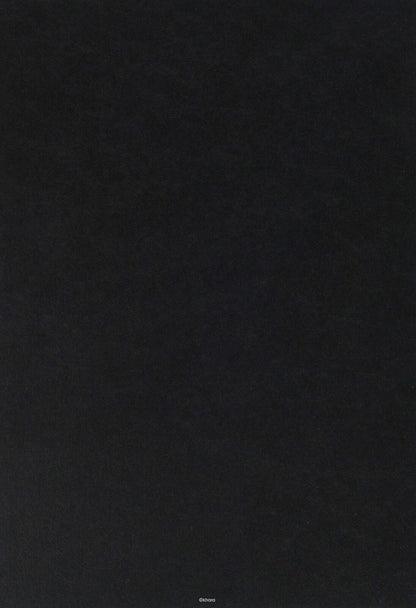 Evangelion: 2.0 You Can (Not) Advance Setting Art Work Book Zenkirokuzenshu 
