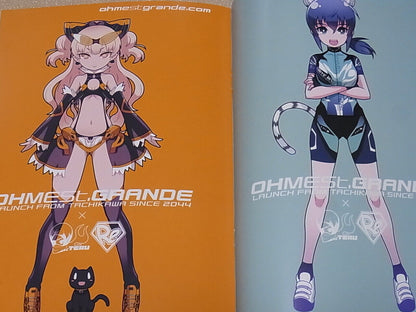Teruhiko Imaizumi Color Illustration Art Book TOYBOX 14 C97 
