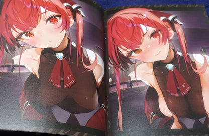 Pomesaurus Pome VTuver hololive Houshou Marine Fan Art Book & Art Card Set C101 