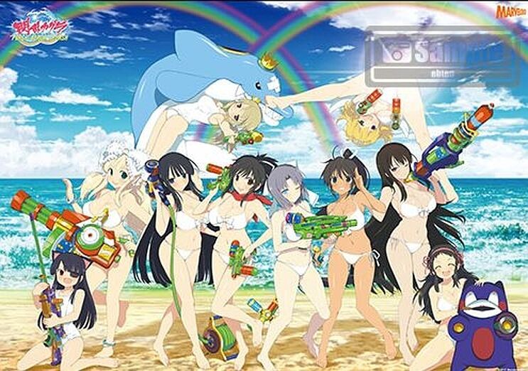 Senran Kagura PEACH BEACH SPLASH B3 Size Bath Room Poster 2SET 
