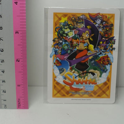 Shantae HALF GENIE HERO Privilege Trump Card Risky Boots Joker 