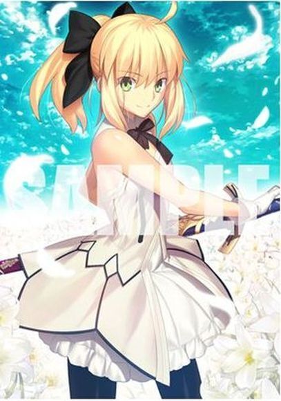 Type-Moon Fate Grand Order Tapestry No.11 B2 Size Artoria Pendragon Lily 
