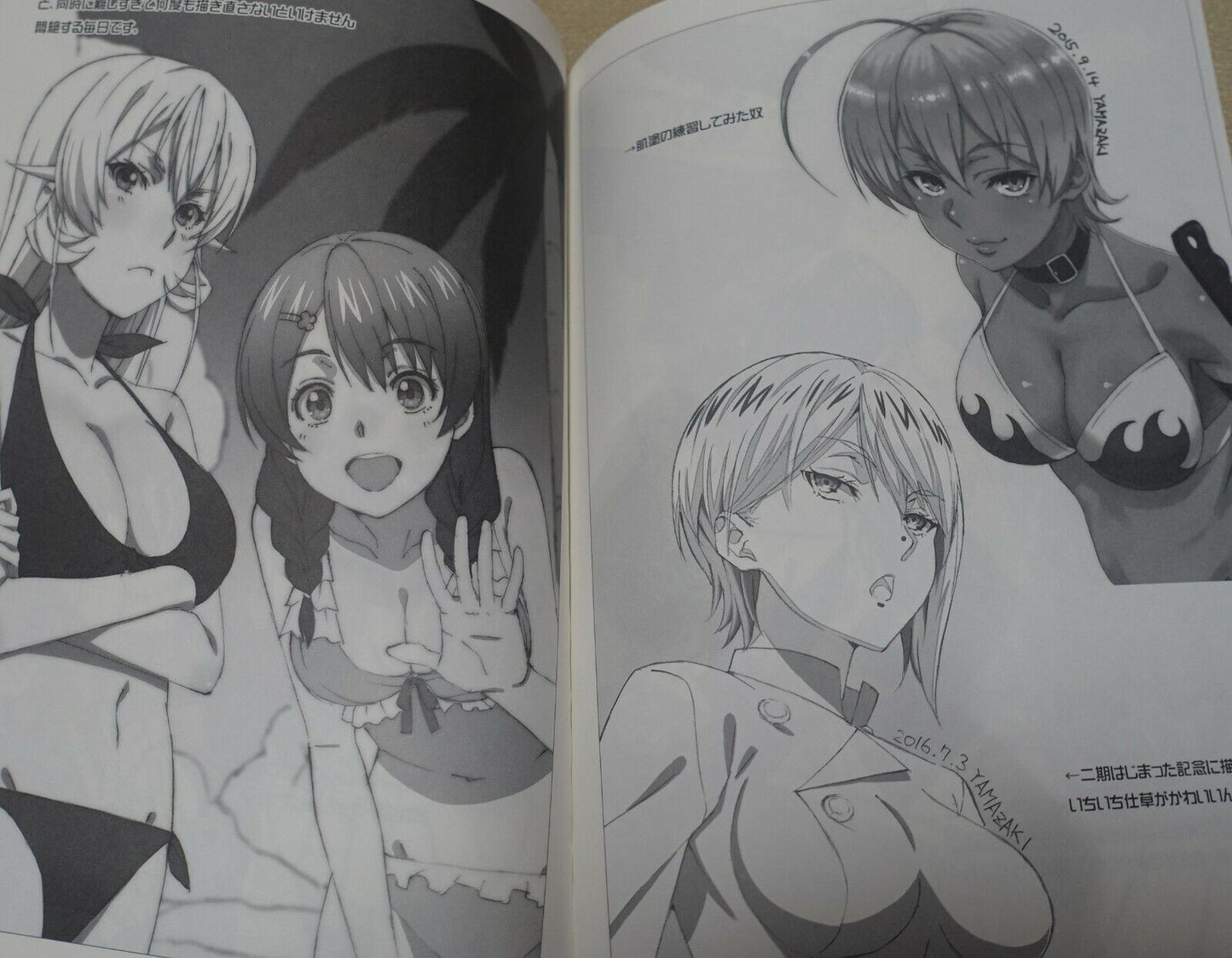 Dagashikashi Animation staff's Fan Art Book Dagashikashi Rough Book 