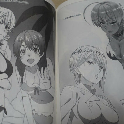 Dagashikashi Animation staff's Fan Art Book Dagashikashi Rough Book 
