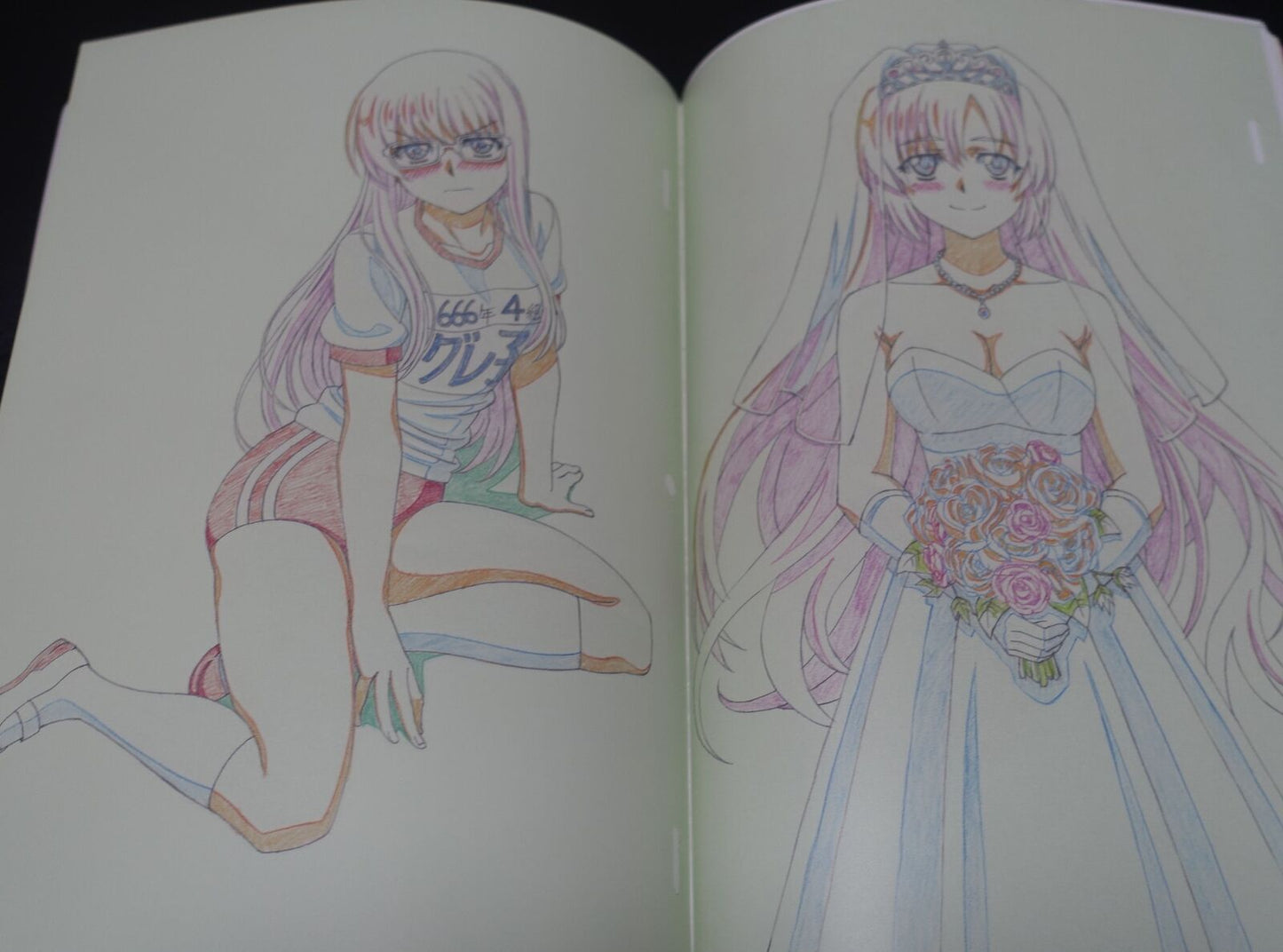 Harasyu Muv-Luv Schwarzesmarken Animation Staff's Art Book Zwei 