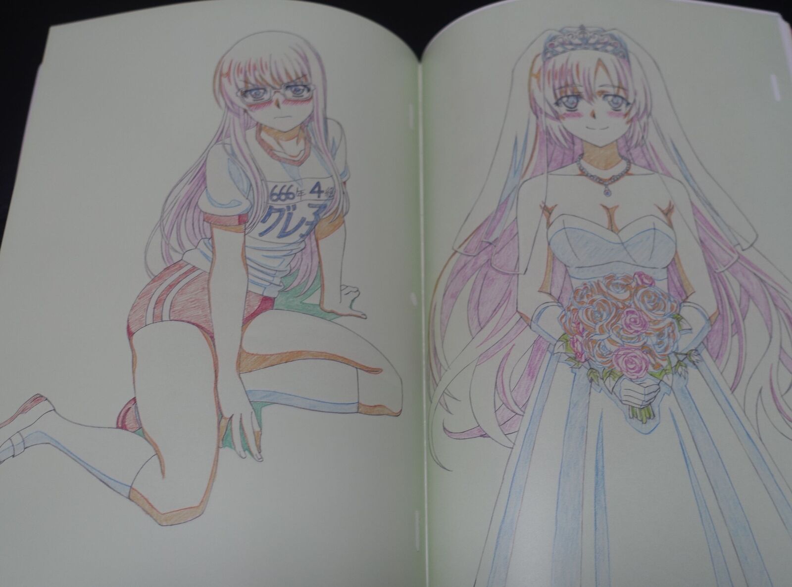 Harasyu Muv-Luv Schwarzesmarken Animation Staff's Art Book Zwei 