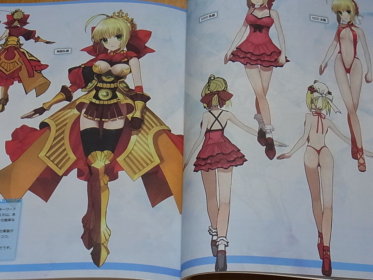 TYPE-MOON Fate EXTRA material Limited Version Arco Wada 226 & 50 page 