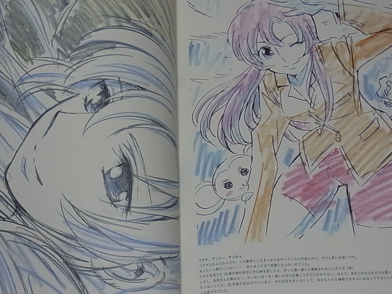 TERUMI NISHII POWER of CHARACTERS Animation Mushishi Seiya Pengdrum 