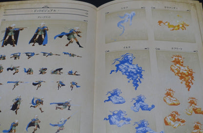 Record of Lodoss War Deedlit in Wonder Labyrinth Special Book 