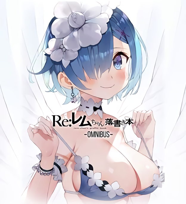Gaou Re Zero Rem Color Fan Art Book Rakugaki hon with Clear File C98 