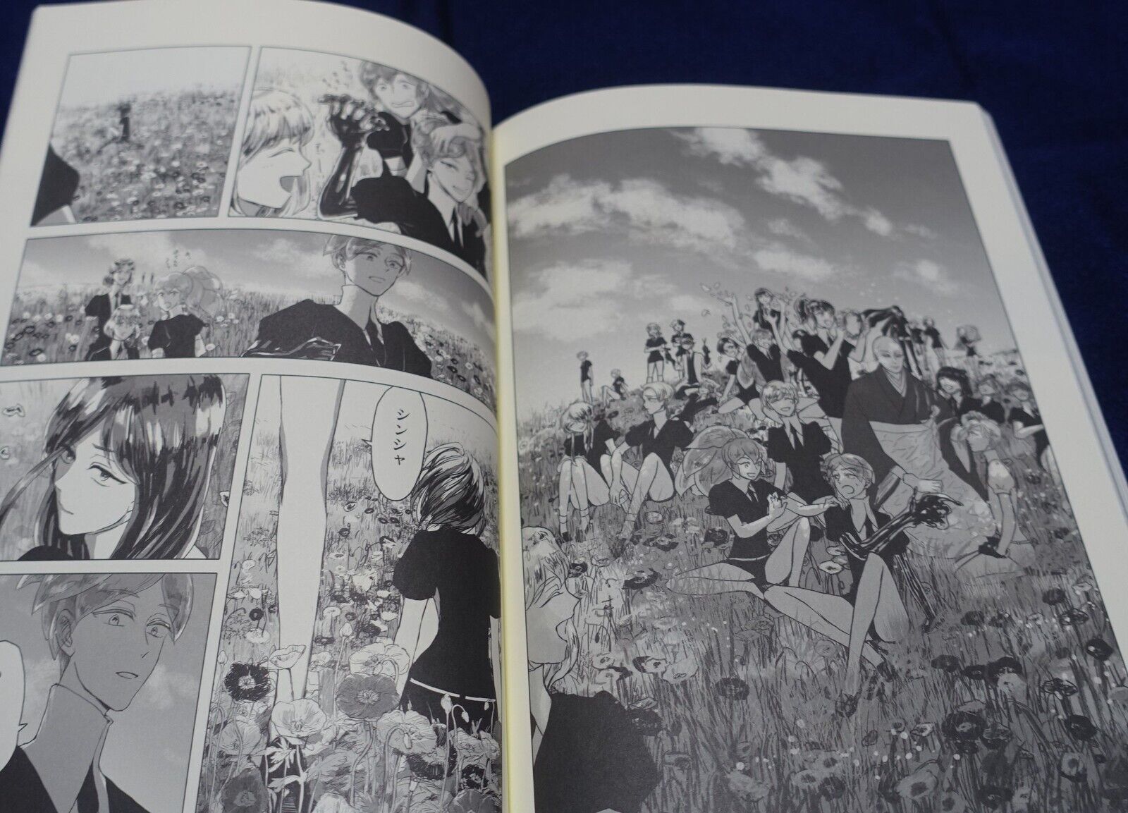 misoka Houseki no Kuni Land of the Lustrous Fan Made Comic Ai ha Hana 