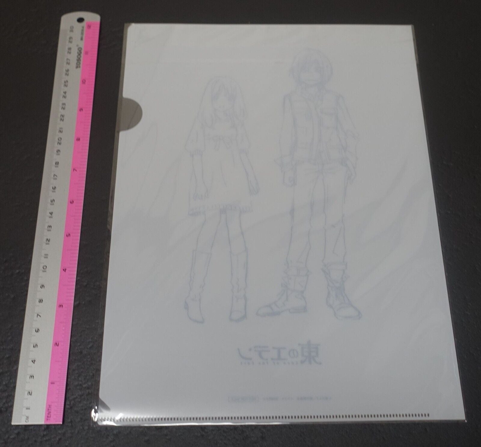 Animation Eden of the East PVC Art Sheet Clear File 