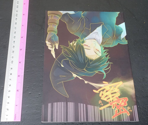 Soaraya Legend of Zelda Link & Dark Link Fan Made Comic Mitsu Mitsu 