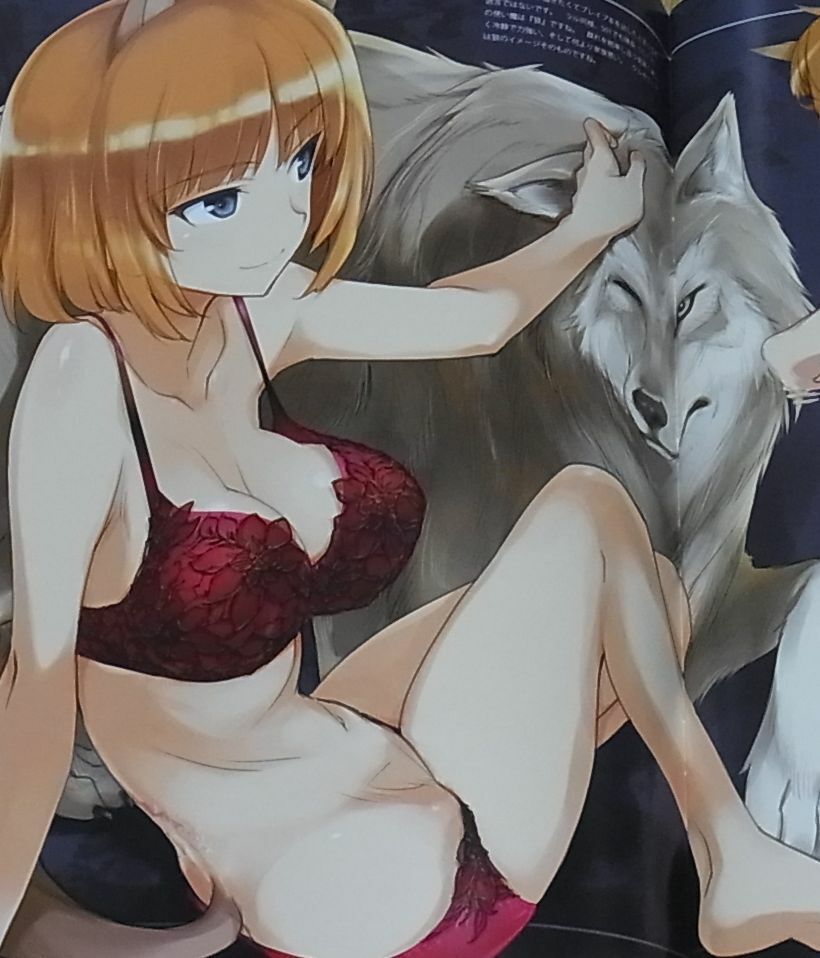 Tomoyasu Kurashima Brave Witches Color Fan Art Book Iroiro BW 