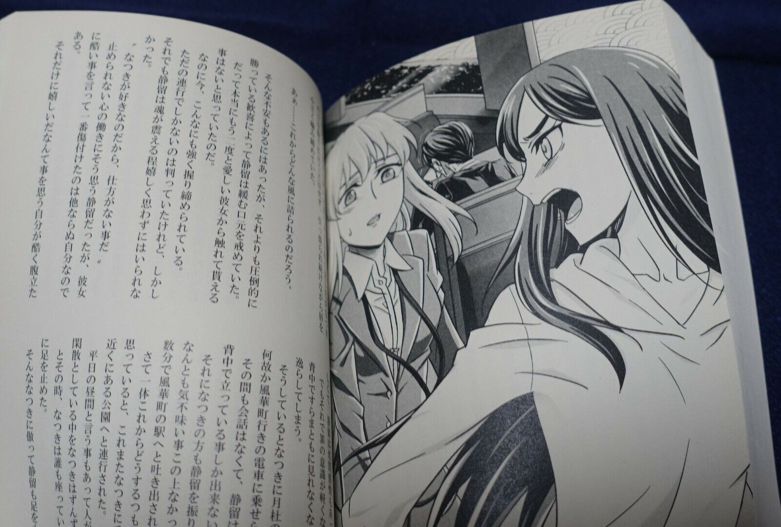 Enryu Sakuya Mai-Hime Natsuki&Shizuru Fan Made Novel Book Set Hitozuma Shizuru 