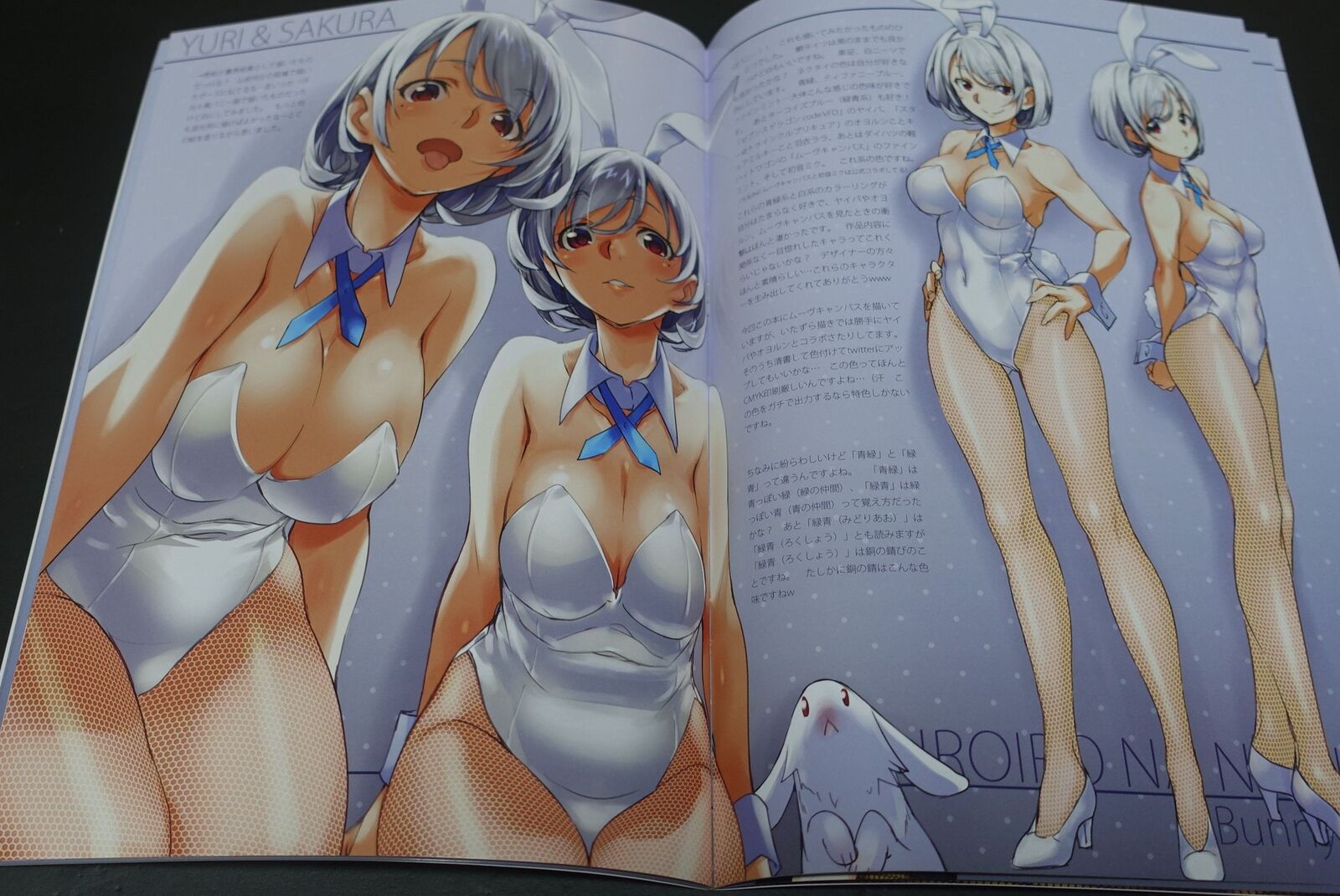 Tomoyasu Kurashima Okotanpeko Original Bunny Girl Art Book Iroiro Na Nanika C100 