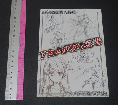Tetsuya Tashiro Akame ga Kill! Rought Illustration Art Mini Booklet E 8page 