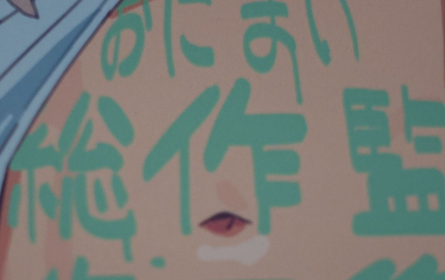 Ryou Imamura Onimai I'm Now Your Sister! Drawing Director Art Work Book C102 