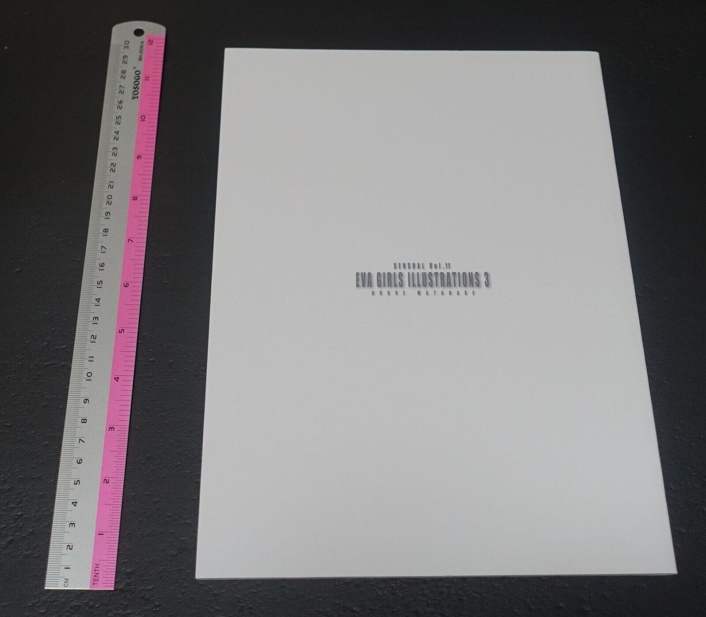 Castlism EVANGELION Fan Art Book EVA GIRLS ILLUSTRATIONS 3 