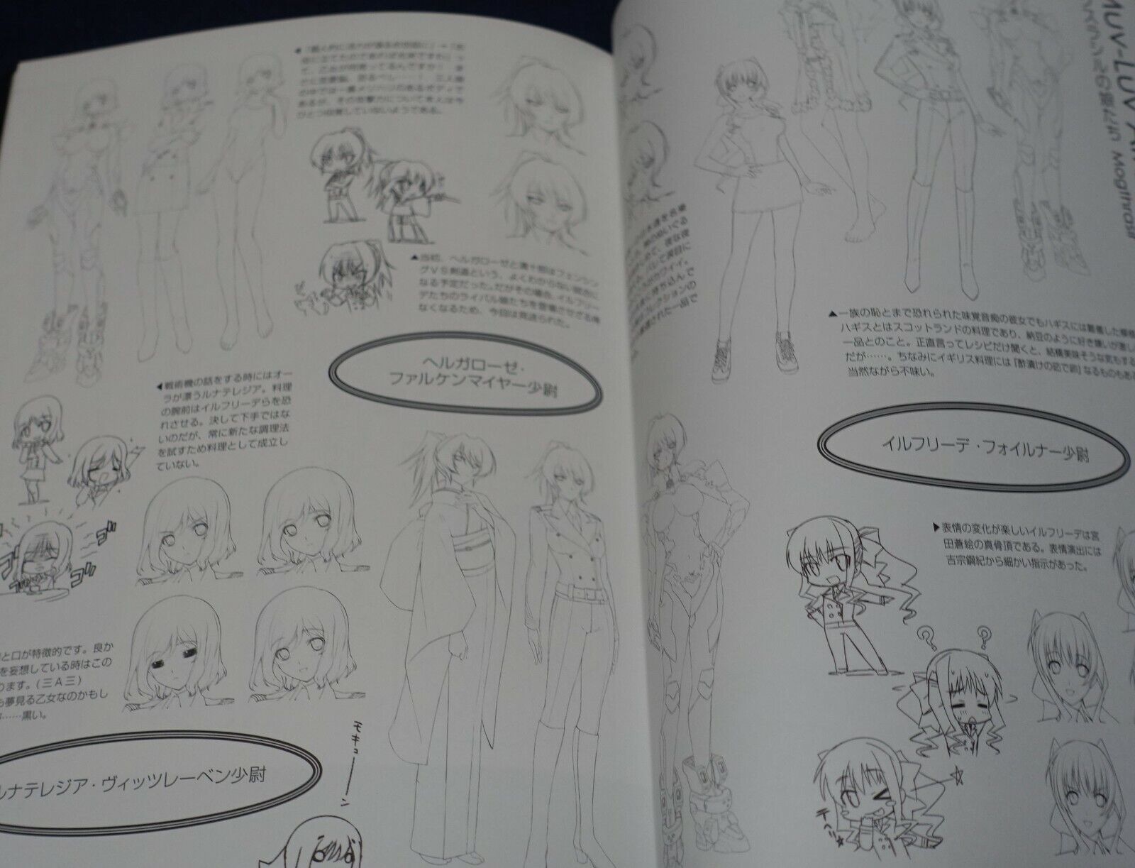 age MUV-LUV ALTERNATIVE Setting & Design Collection Book LD6 ADORATION 