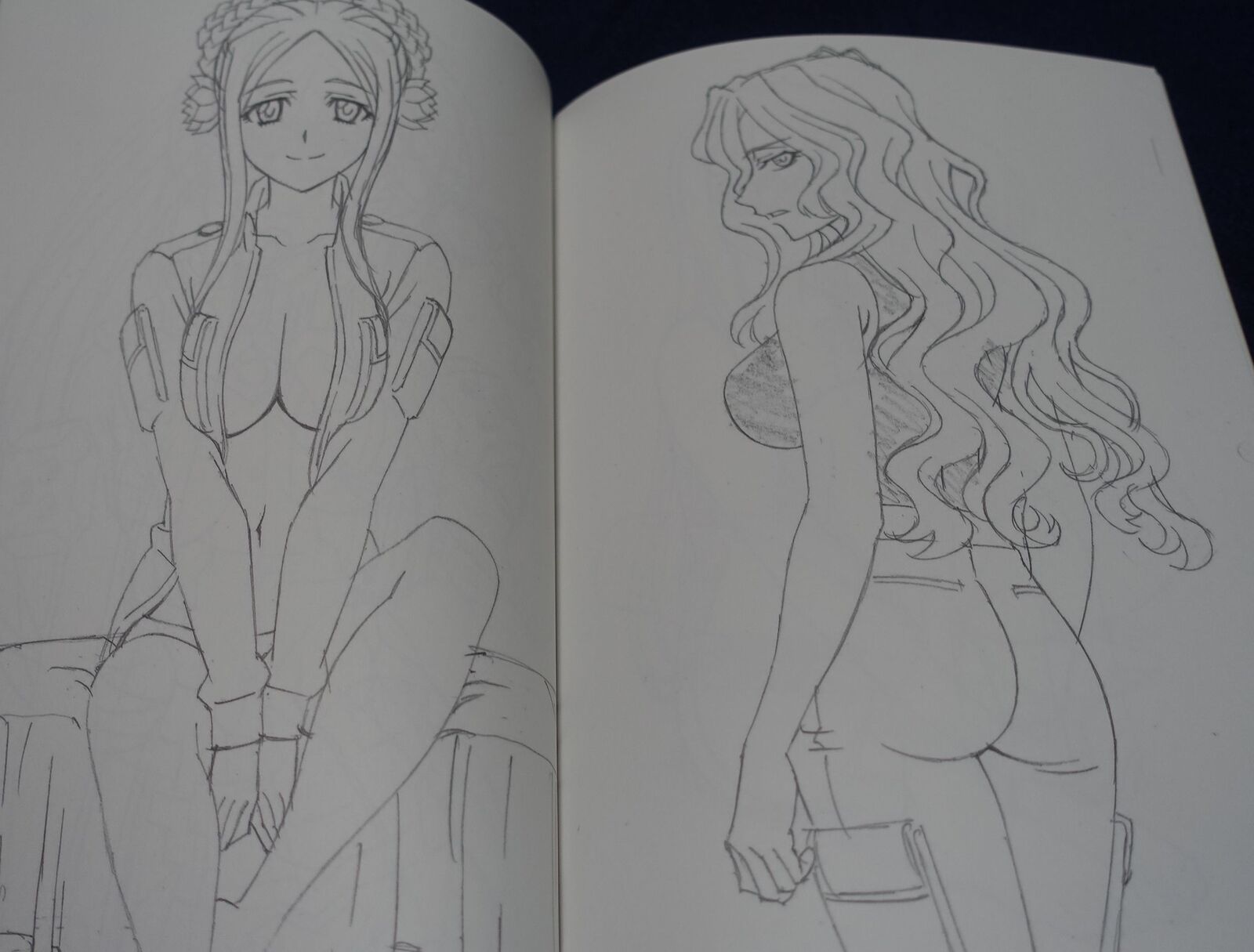Harasyu Muv-Luv Schwarzesmarken Animation Staff's Art Book 