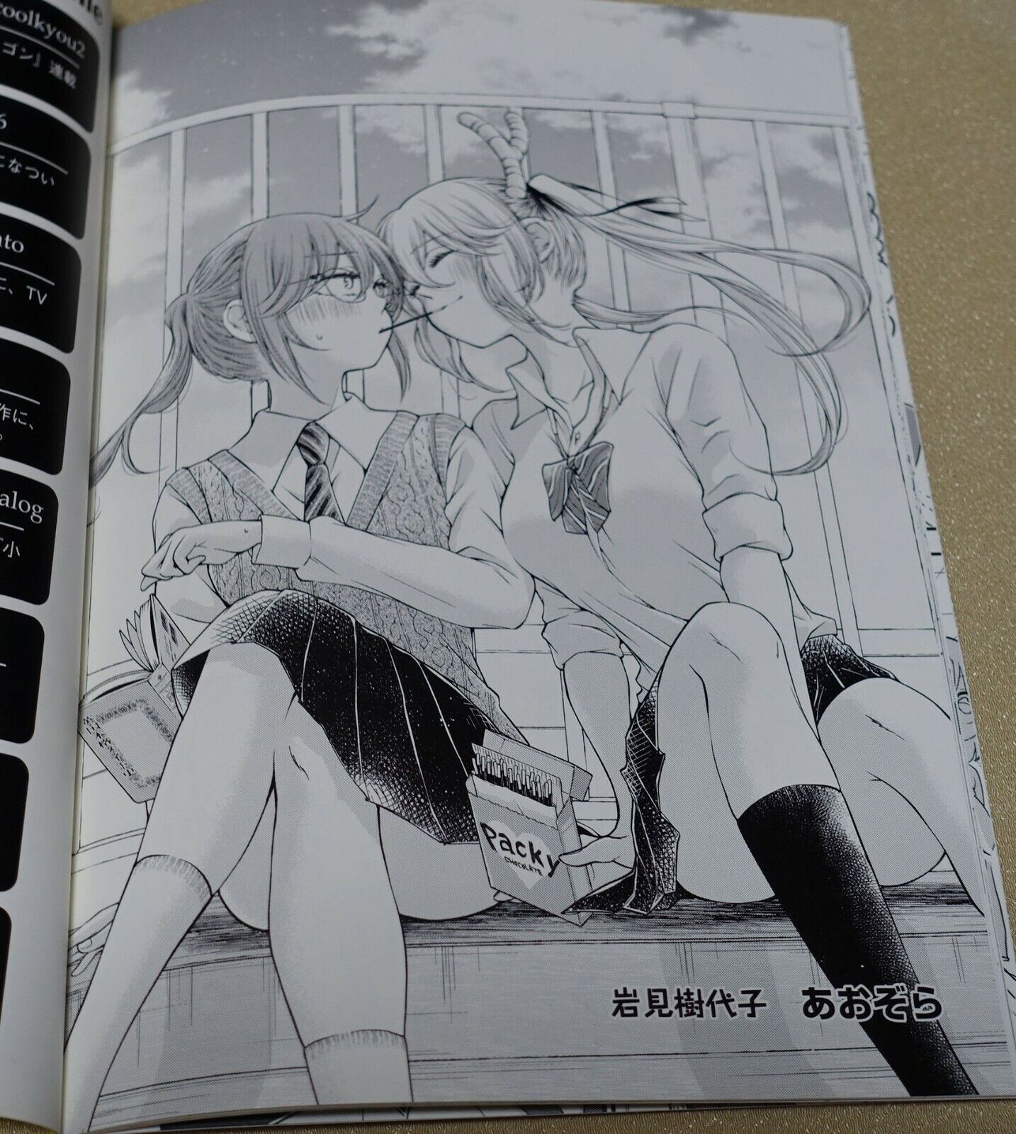 Miss Kobayashi's Dragon Maid Official Fan Doujinshi & Anime Design Art Book Set 