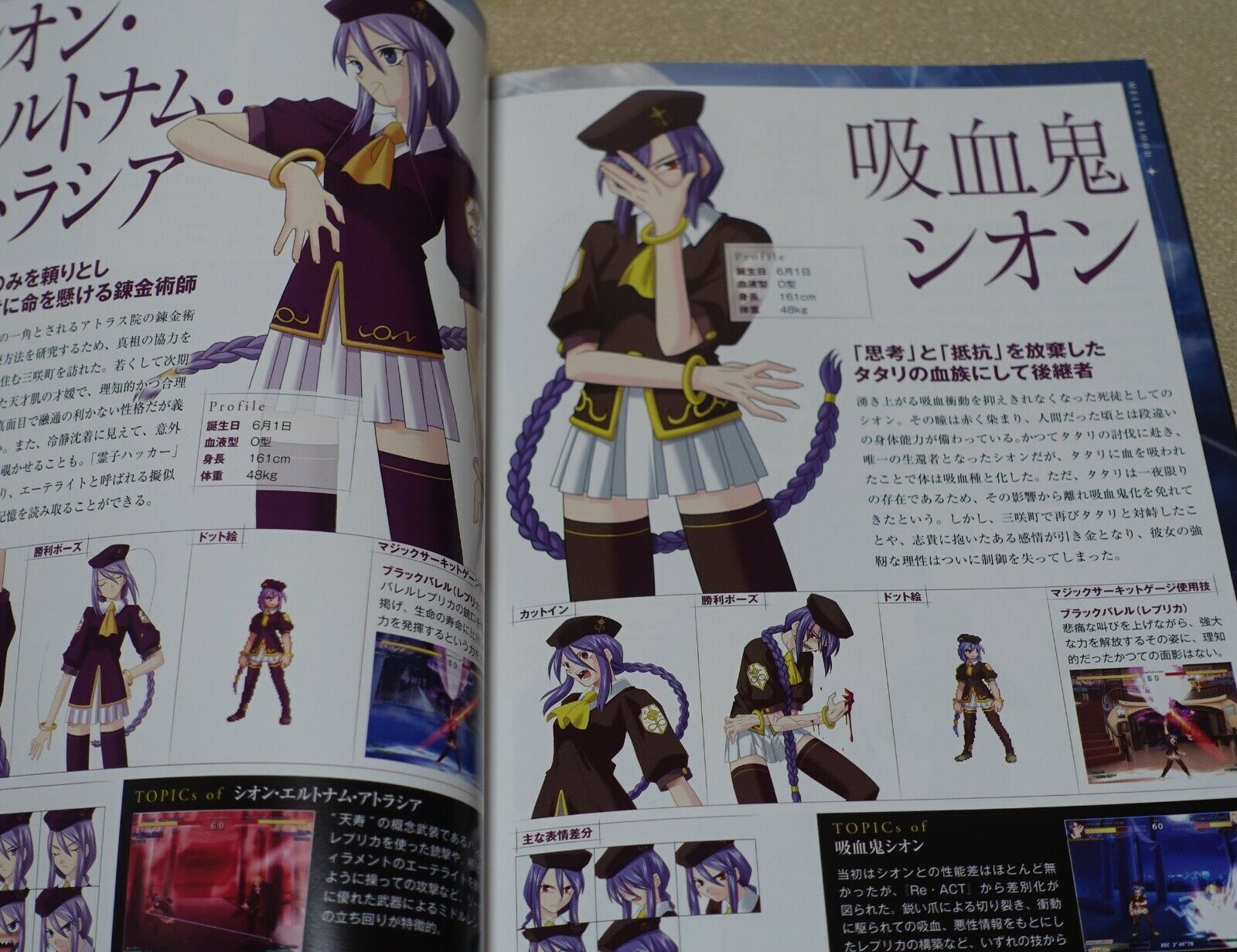 MELTY BLOOD setting & history book MELTY BLOOD DOKUHON 