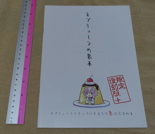 Hyperdimension Neptunia Official Illustration & Promo Design Work Book 