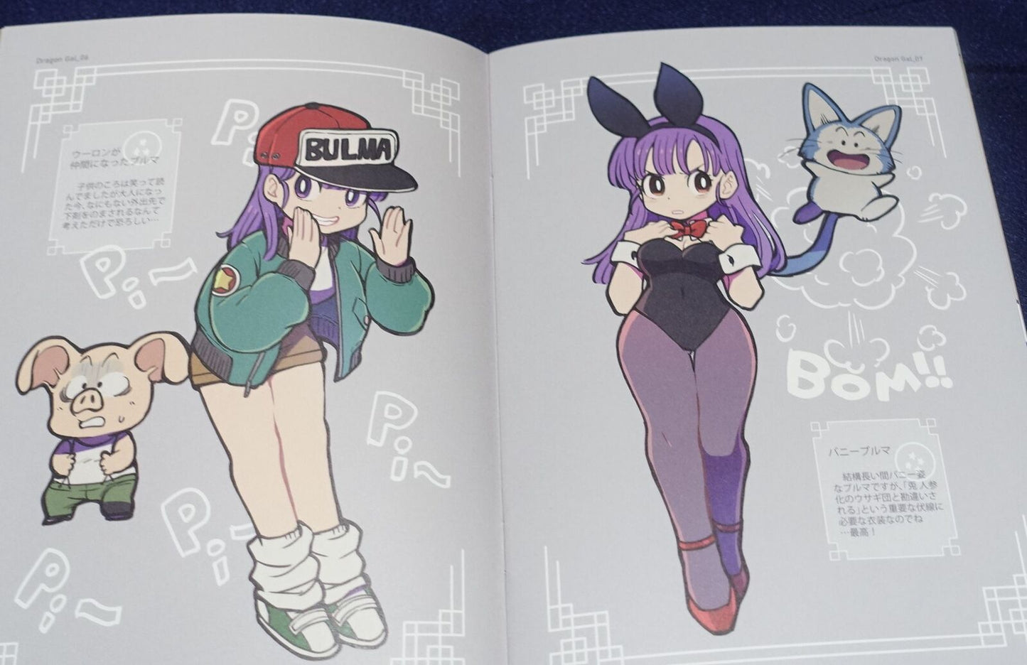 TWINKLE mago Dragon Ball Fan Art Book DRAGONGAL 