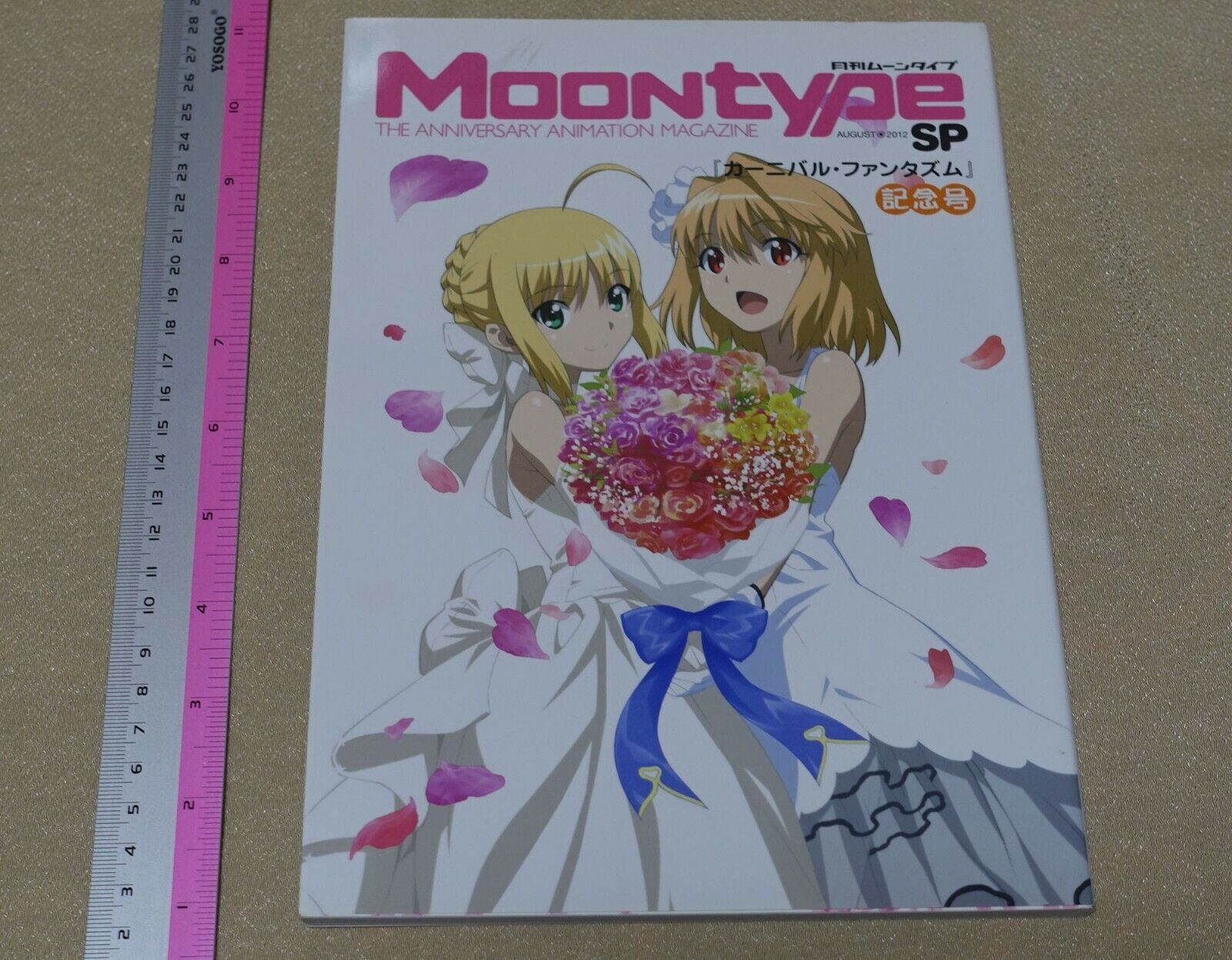 TYPE-MOON Carnival Phantasm Animation Staff Illustration Art Book Moontype SP 