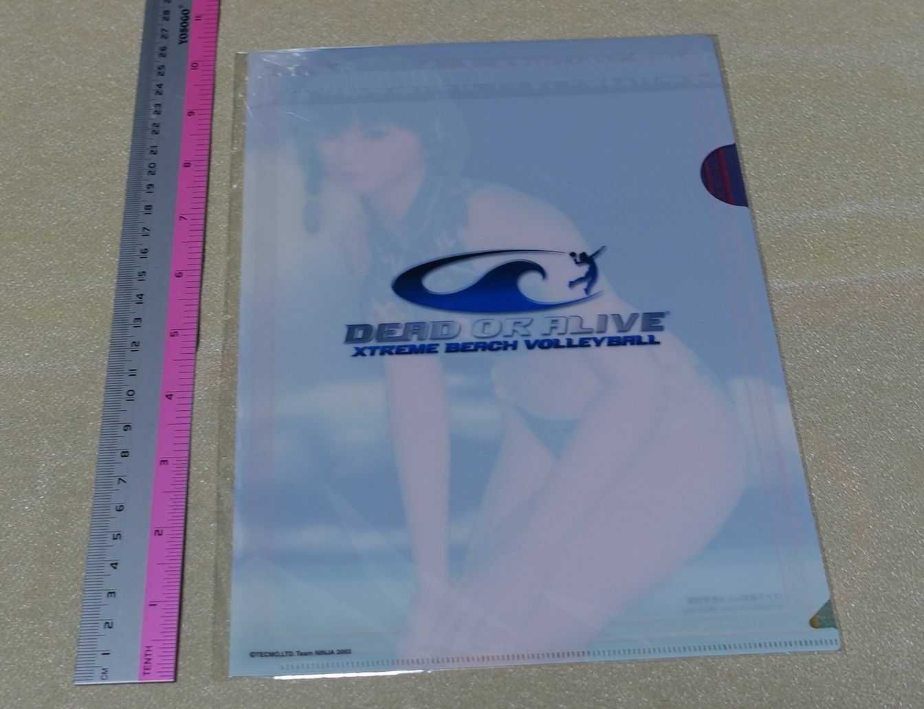 DEAD OR ALIVE DOA XTREME BEACH VOLLEY BALL PVC Art Sheet Leifang 