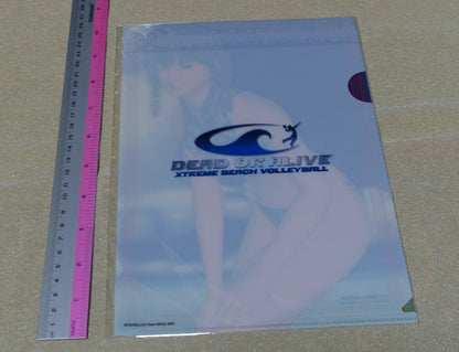 DEAD OR ALIVE DOA XTREME BEACH VOLLEY BALL PVC Art Sheet Leifang 