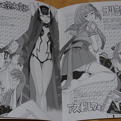 Rei Hiroe Fate FGO Illustration Fan Art Book FGO Orihon C93 