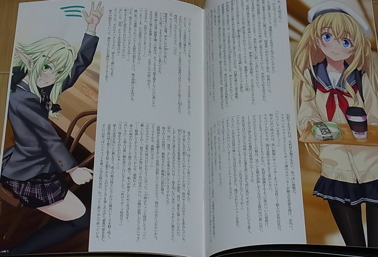 Goblin Slayer Author's Color Art & Novel Doujinshi Kannatsuki Works Kagyu Kumo 