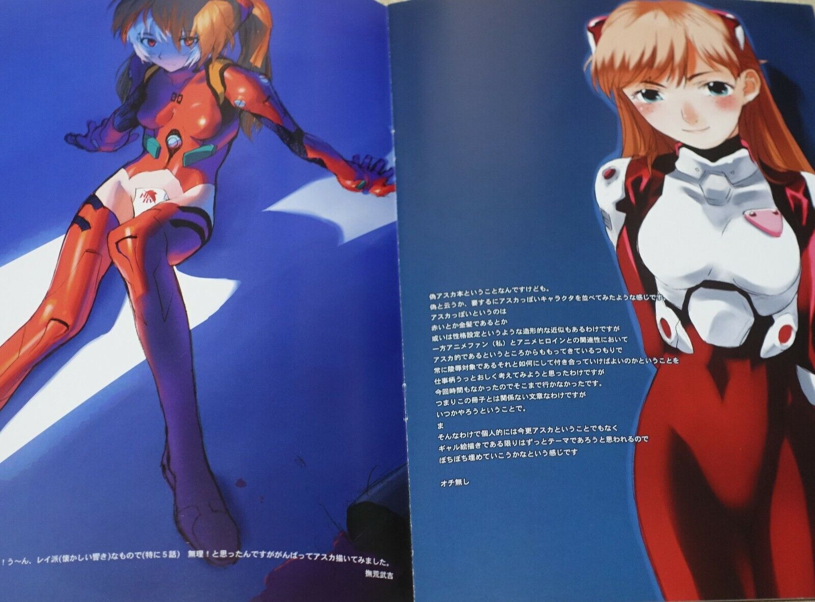 Nisieda Evangelion Fake Asuka Color Fan Art Book 